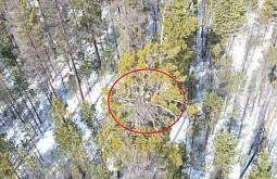 � �������� � ������� ������-���������� ���������� ����