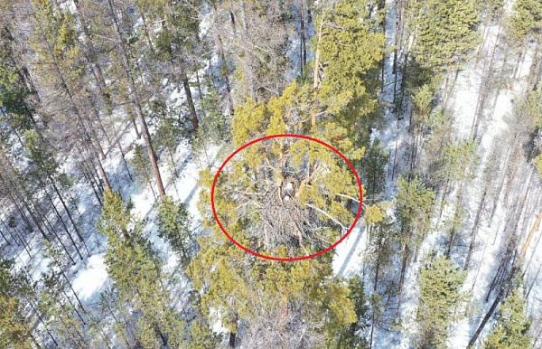 � �������� � ������� ������-���������� ���������� ����