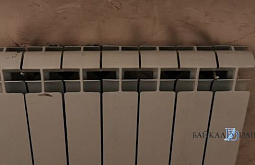 � ���� ������� �������� ���� ����������� �����������