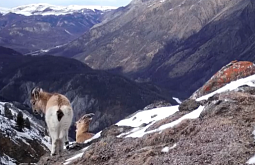 ����� � ������� �������� ������ ������