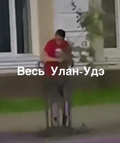 ������ ������ ������ � ������ ����-���  