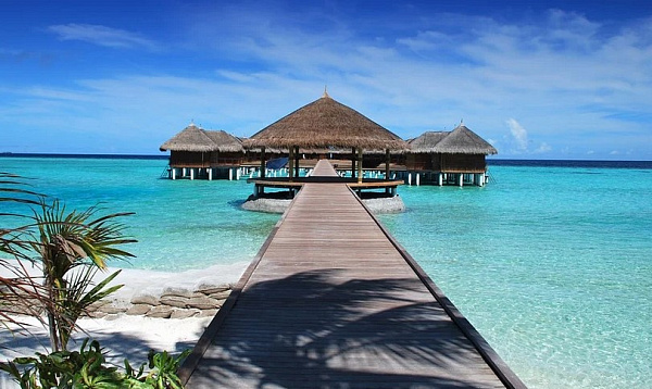 � ������� ����������� �������, ����������� �� ��� � ������� 