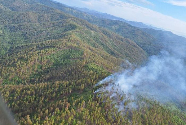 � ����� ������� ������������ ����� ������� ������ �����