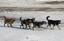 �� ��� ������� ���������� � ������ ������������ �����