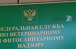 � �������� ���������������� ����� ��������������� ��������������� �����-������