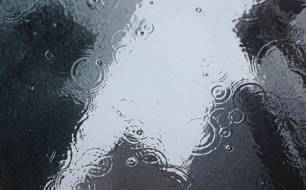 � ������� ������� ����� 