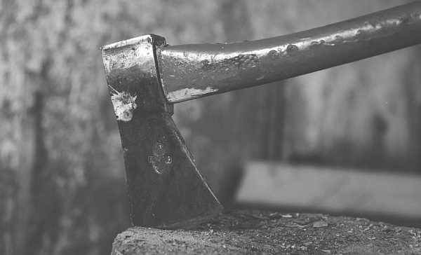 ����-������ ������� ������ �������� 