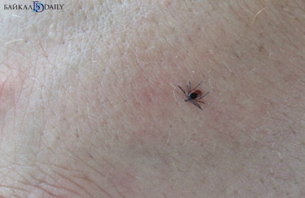 � ������� 20 ������� �������� �������� �����������