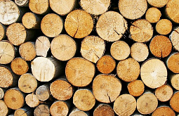 � ������� ��������� 105 ����� ���������� ������� �� ������� ���� 