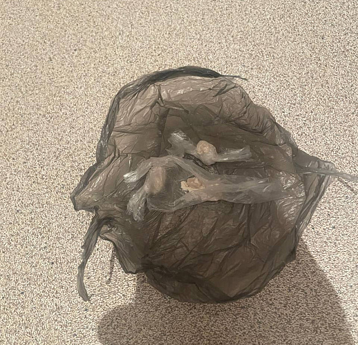 � ��������� ������� ������� �������� ���������� ���������������� 