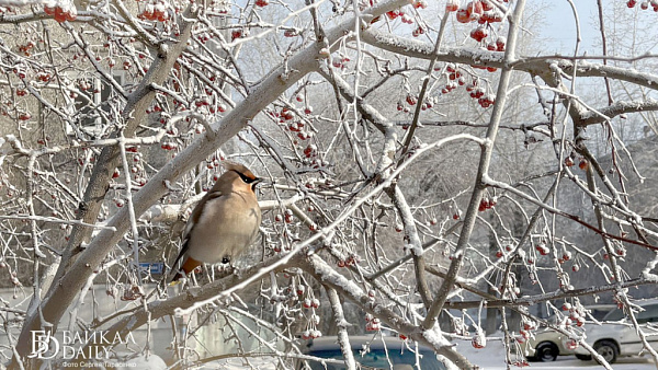 � ������� �� -30 � ��������� ������