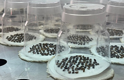 � ������ ������� � ������� ����� ����-�������