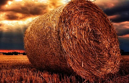 ������ ������� � �������������� ���� ����