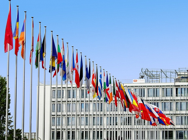 ����������� ����-��������� ���-������ ������� � ����������� ���� ������ ������