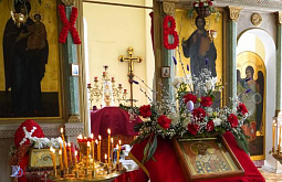 ������������ ������ ������� ��������� �����