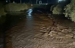 ����� ������� ������ �� ����� ����������� � ������������ ����� 