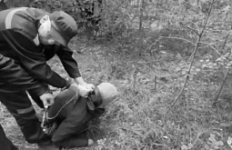 ���������� ������� �������� � �������� ������� ��������