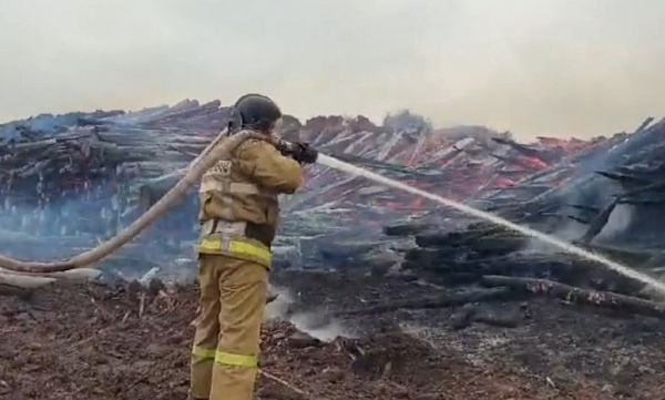 � ��������� ������� ������������ ������� ����� � �������� ��������� ���� 