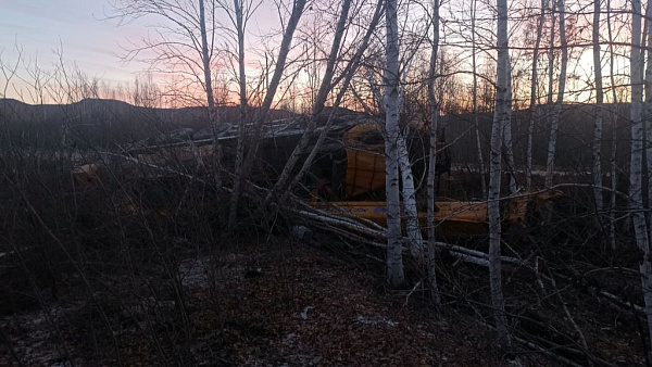 ������� ������ �������� ��������� � ���������� �������� �����������