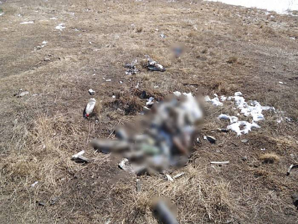 � ������� ��������� ���� �������� ������ �� ������ 