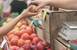 ����������� ����� �������� ����������� �� 8,5 ��� 