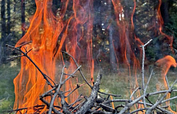 � ���������� ���� ���������� ������� ������� ����