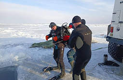 �� ���� � ������ ������� �������� ����