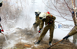 � ������������ ���������� ������ ������������� ����� 