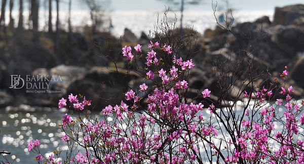 ������� ���� ����� ��������� ����������� ����� ���������� ������ 