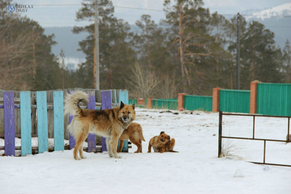 ��������� ����� � ����-��� ����� � ������� ������ � ��������