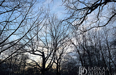 � ������� ���������� �������� ������