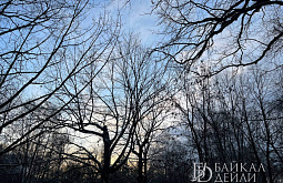 � ������� ���������� �������� ������