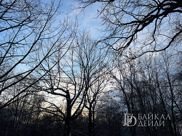 � ������� ���������� �������� ������