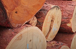 � ������� ��������, ������� ���������� ������ �� ������� ��������� 