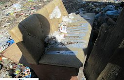 � ������� ��������� �������� ������� �� 77 ��������� 