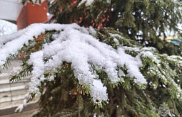 � ��������� ������� ��������� ����� � ����