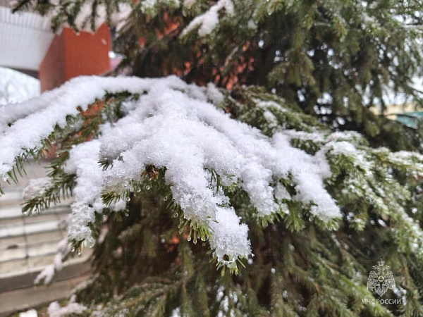 � ��������� ������� ��������� ����� � ����