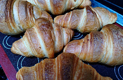 � ������� ������ ������ ����� �������� ����������