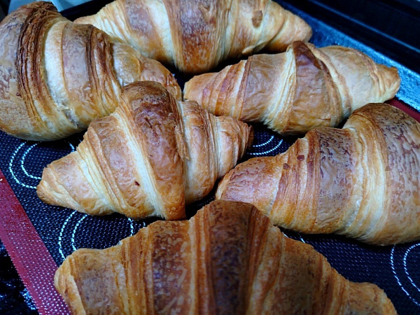 � ������� ������ ������ ����� �������� ����������