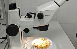 �� ������� � ����� ��������� 395 ���� �������� ������