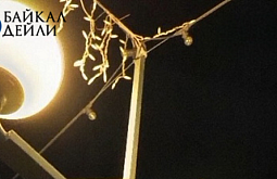 ������ ��������� � ������� ������������ �� ������������� ����