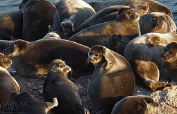 ��������� ���������� ������ � ������� ������� �������� 