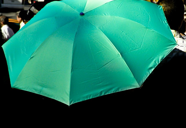 � ������� ��������� �����