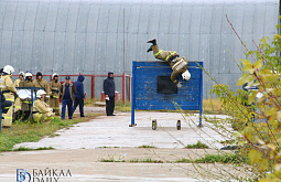 � ������� ���������� ������� ��������� (������������)