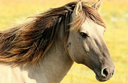 ����� ������� � �������� �������� ��������� ������� �� ������ 