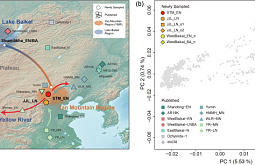 Подтверждена общность древних людей Прибайкалья и Северного Китая