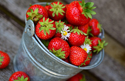 ������� ������� ���� ������ �� ������ �������� 