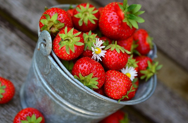 ������� ������� ���� ������ �� ������ �������� 