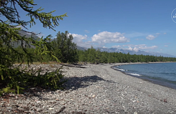 ��������� ������� ����� ����������� �������� �������