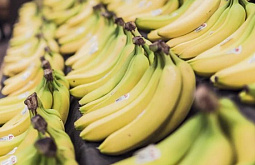 � ������� ���������� �������� ������������� ����� �������� ����������� 